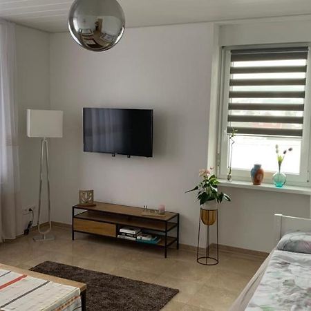 Grenznahe Ferienwohnung Mit 4 Schlafzimmern Grenzach-Wyhlen Kültér fotó