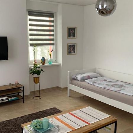 Grenznahe Ferienwohnung Mit 4 Schlafzimmern Grenzach-Wyhlen Kültér fotó