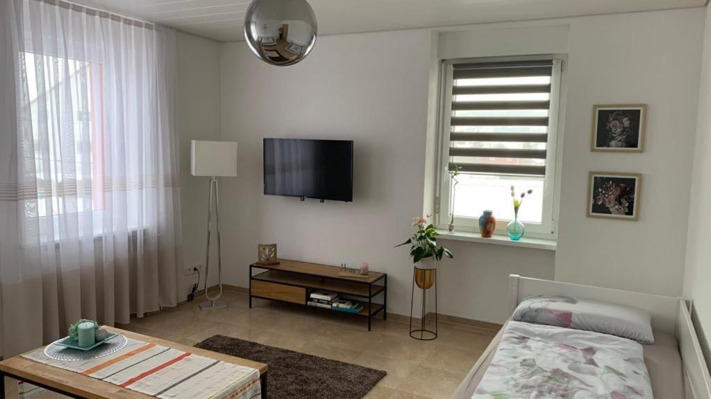 Grenznahe Ferienwohnung Mit 4 Schlafzimmern Grenzach-Wyhlen Kültér fotó