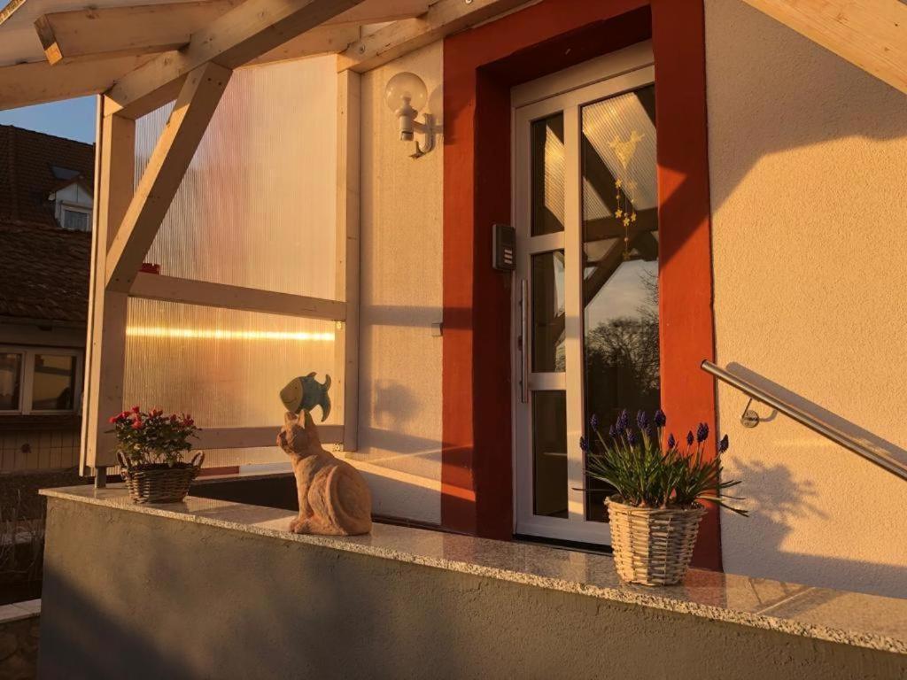 Grenznahe Ferienwohnung Mit 4 Schlafzimmern Grenzach-Wyhlen Kültér fotó